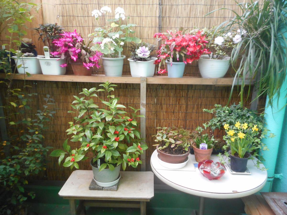 Jgh Tokyo Hostel Kawaguchi  Eksteriør billede